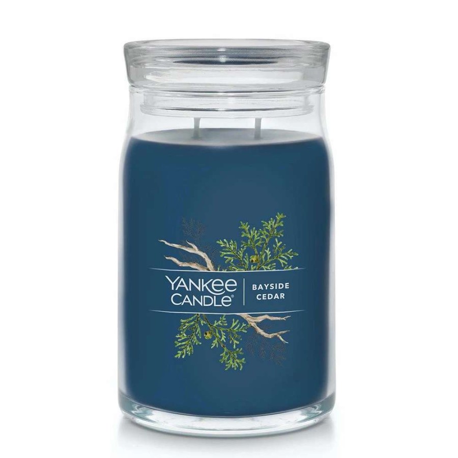 Jar Candles * | Yankee Candle Bayside Cedar 20-Oz. Signature Large Candle Jar