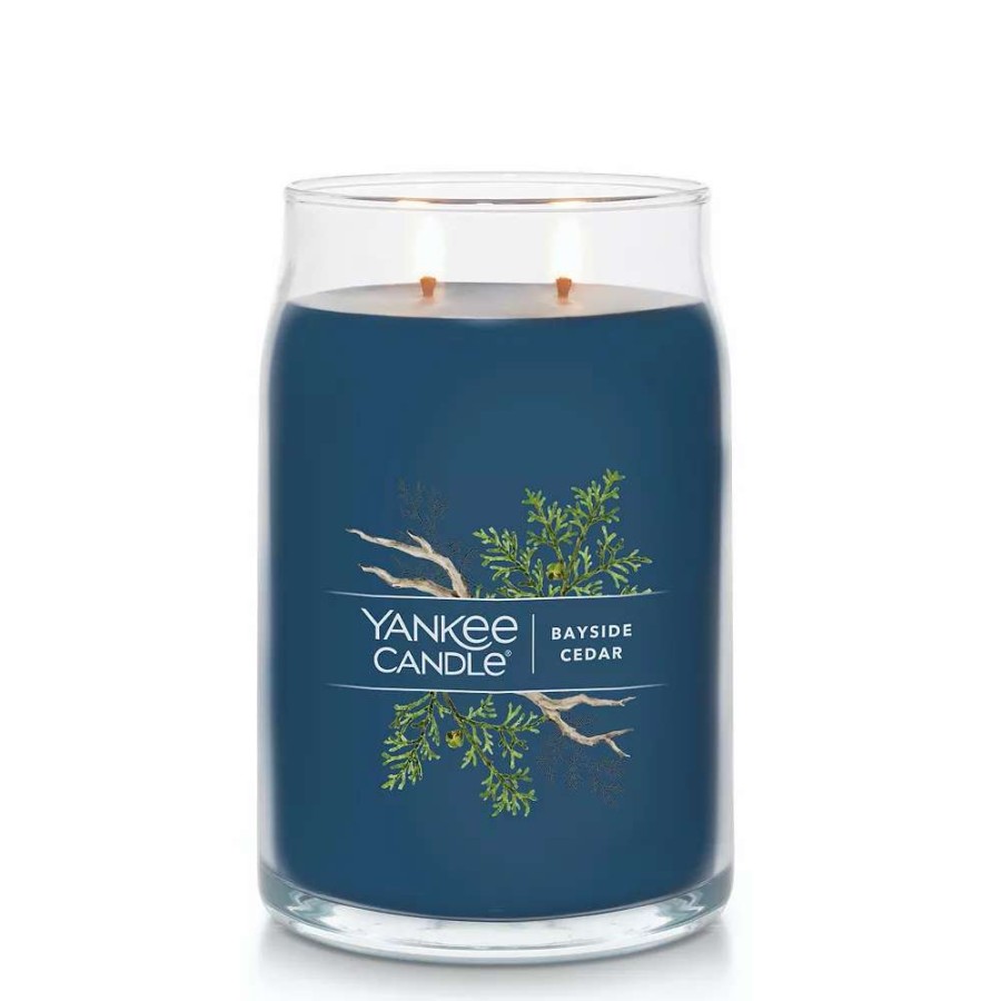 Jar Candles * | Yankee Candle Bayside Cedar 20-Oz. Signature Large Candle Jar