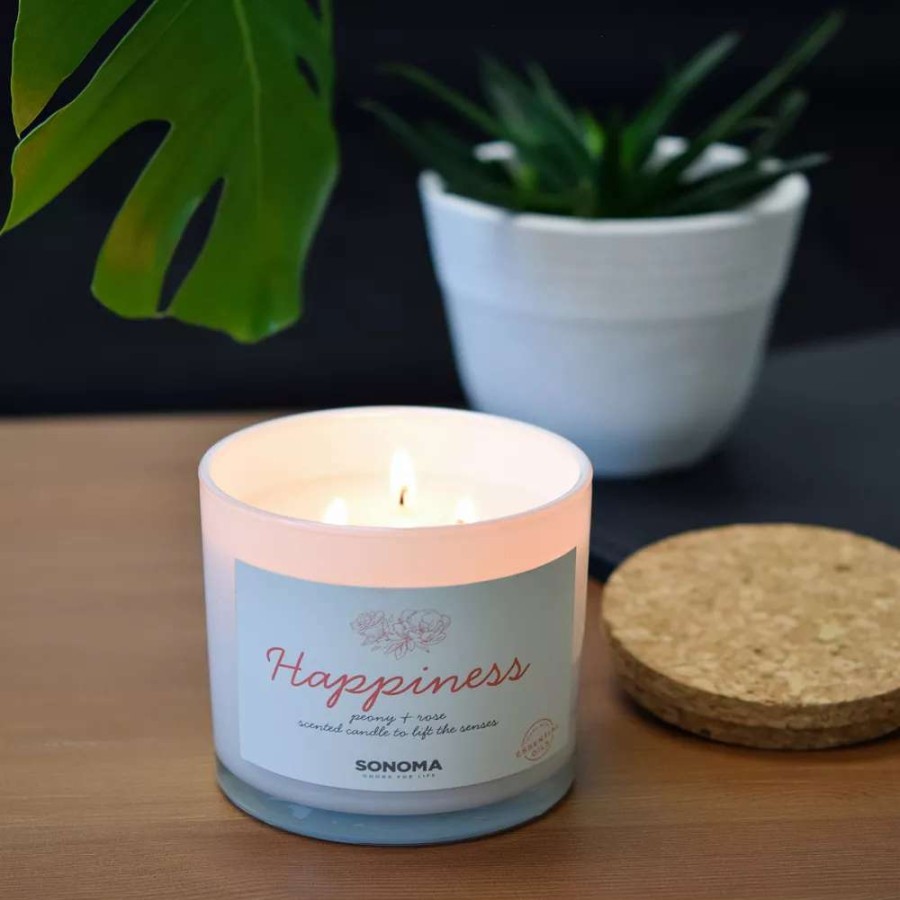 Jar Candles * | Sonoma Goods For Life Spa Happiness 3-Wick Candle Jar