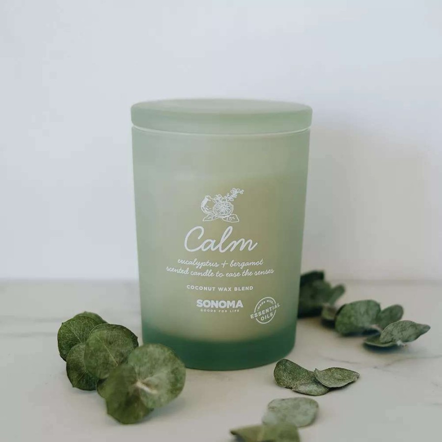 Jar Candles * | Sonoma Goods For Life Spa Calm Candle Jar