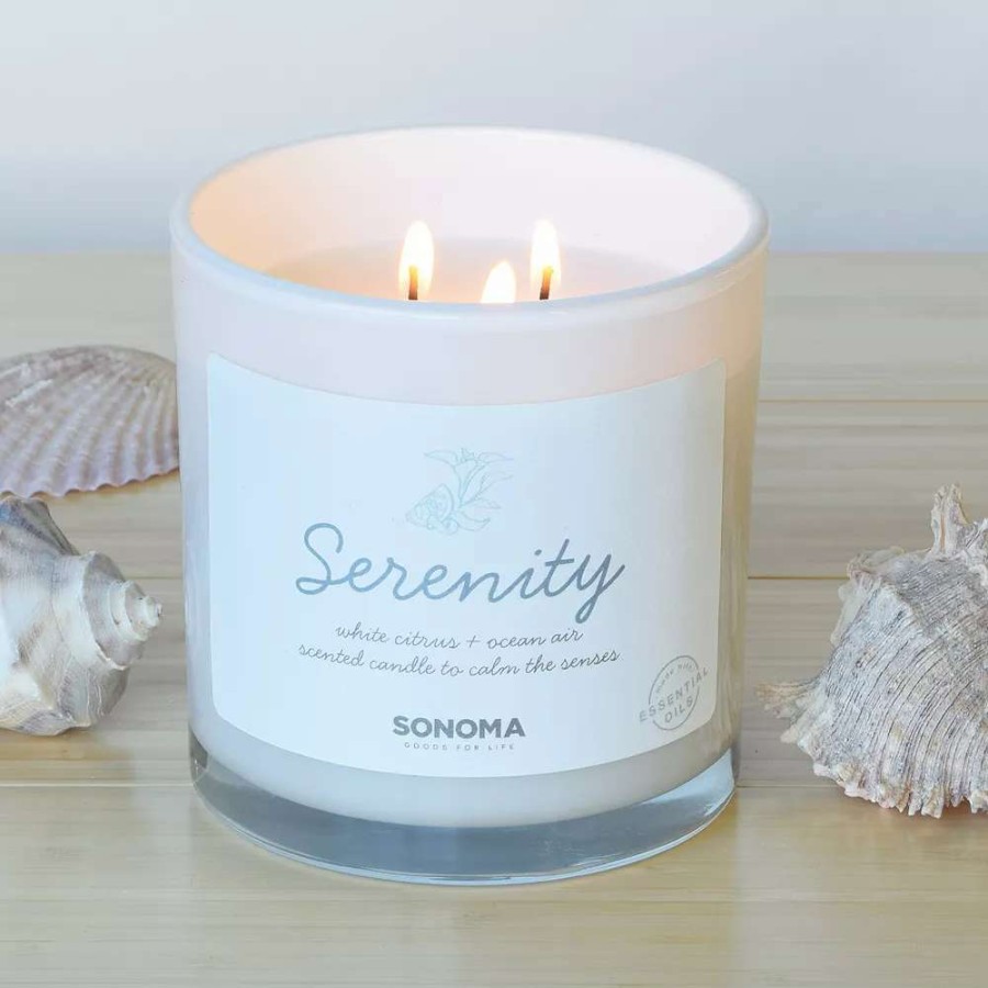 Jar Candles * | Sonoma Goods For Life 13-Oz. Serenity White Citrus & Ocean Air 3-Wick Jar Candle